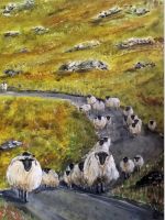 Walking sheep