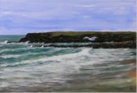 Zee - Meeuw - Strand