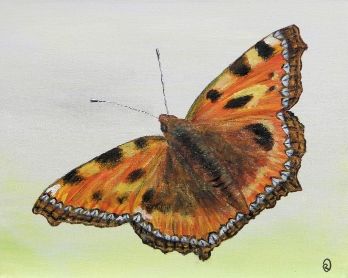 Vlinder