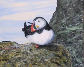 Puffin