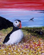 Puffin - Zee