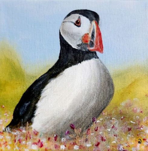 Puffin