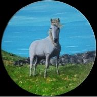 Paard